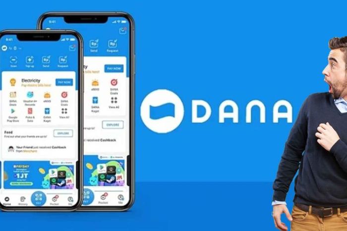 Cara Cek Saldo Dana Melalui Aplikasi Dan Website Resmi Dana