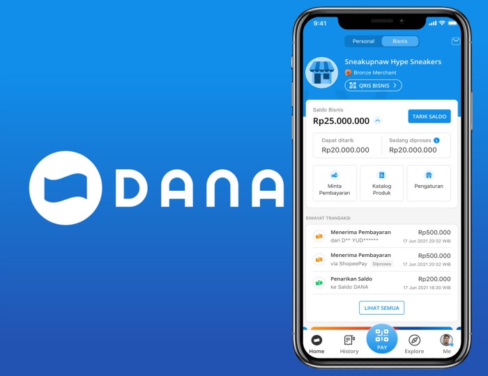 Cara Cek Saldo Dana Melalui Aplikasi Dan Website Resmi Dana