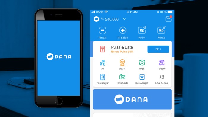 Cara Cek Saldo Dana Melalui Aplikasi Dan Website Resmi Dana