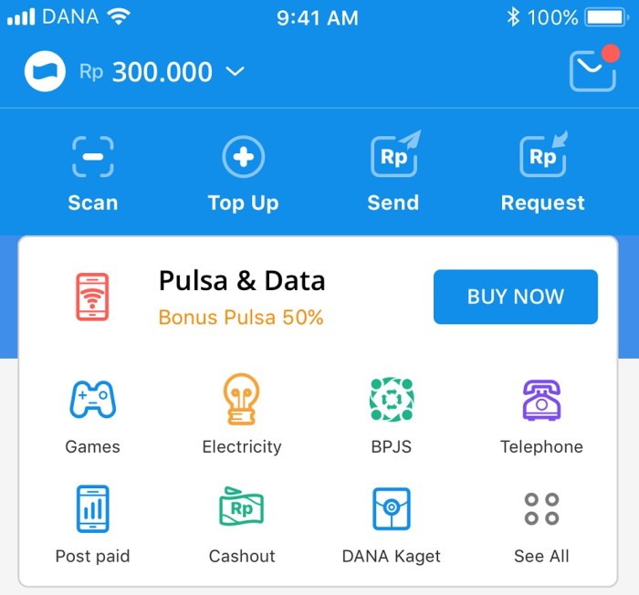 Cara Cek Saldo Dana Melalui Aplikasi Dan Website Resmi Dana