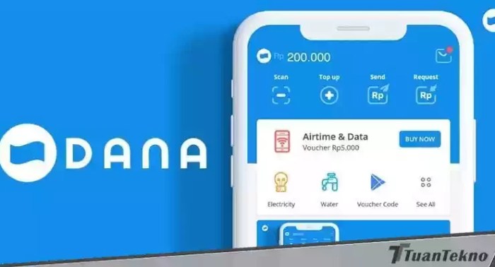 Cara Cek Saldo Dana Melalui Aplikasi Dan Website Resmi Dana